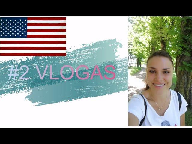 #2 Vlogas. Žalia korta. Medicininė apžiūra prieš interviu USA ambasadoje