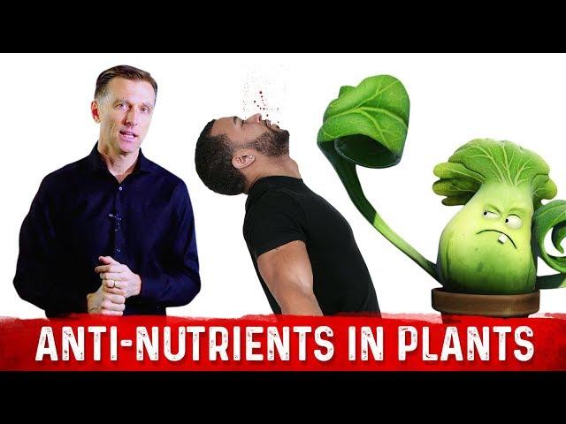 Plants Do Not Like to be Eaten: Thus the Anti Nutrients – Dr.Berg On Phytoestrogens & Phytic Acid