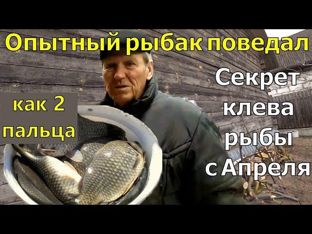 Как 2 пальца!  Старый рыбак поведал о Рыболовнай насадке. Насадка для карася карпа в апреле.