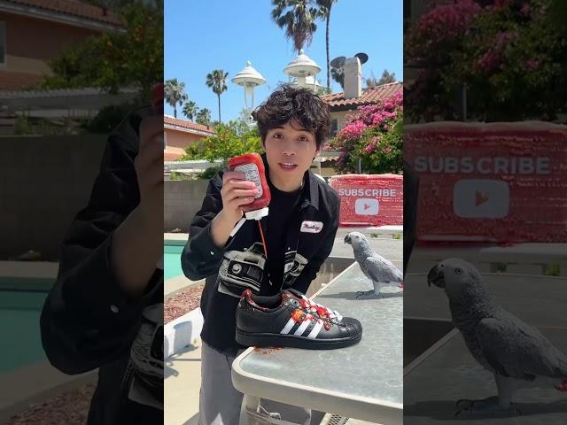 This Video Is 2 Seconds Long #asher #shorts