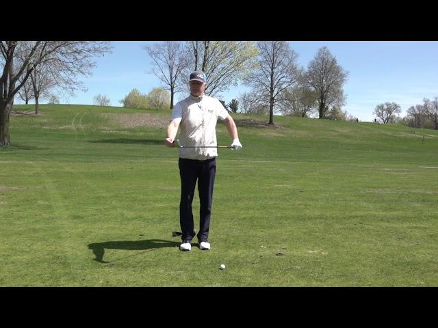 Hitting the Gold Series Fairway Hybrid