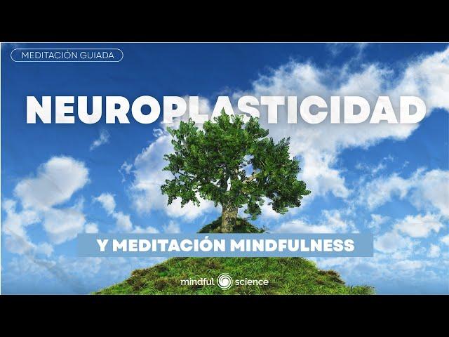 NEUROPLASTICIDAD cerebral y MEDITACIÓN MINDFULNESS ~ Mindful Science Podcast~