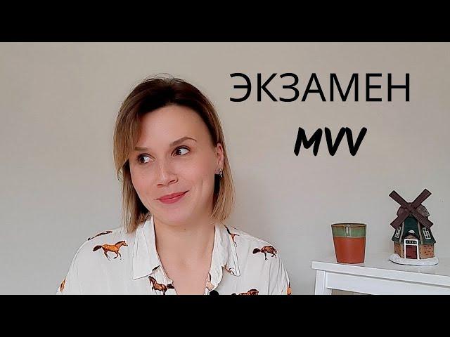 Экзмен MVV для переезда в Нидерланды/ Мой опыт