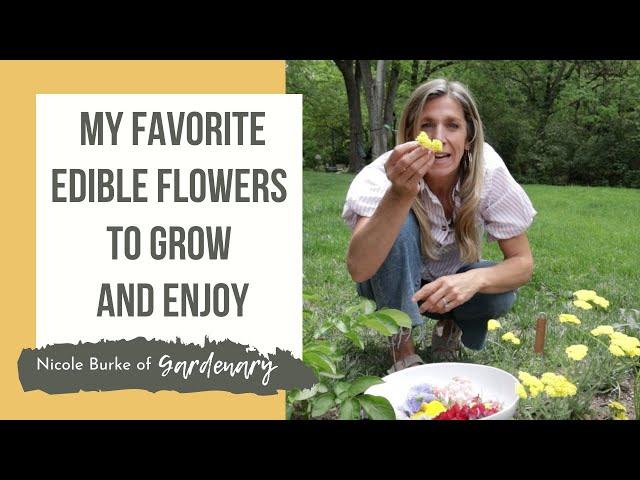 My Favorite Edible Flowers to Grow and Enjoy