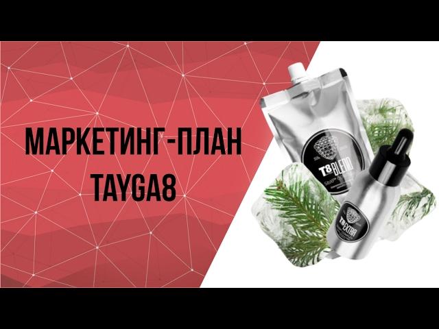 Маркетинг план Tayga8 / Тайга 8 Vilavi