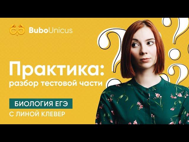 Практика. разбор тестовой части. Часть 1 | БИОЛОГИЯ ЕГЭ | Лина Клевер