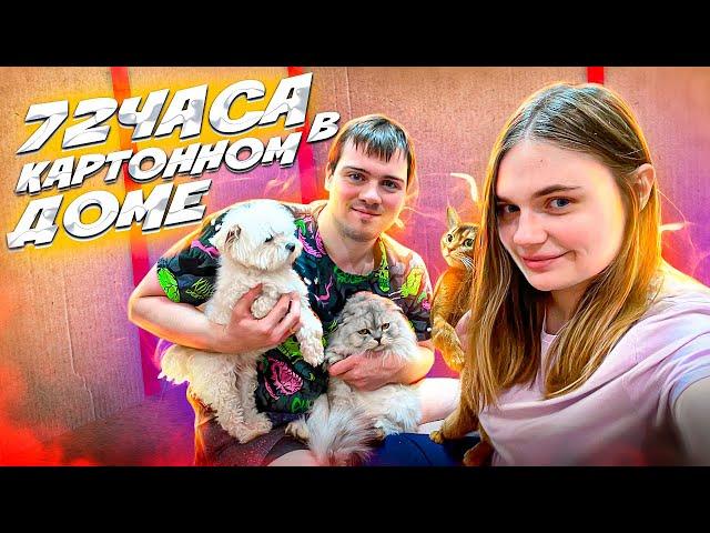 72 ЧАСА В КАРТОННОМ ДОМЕ С ЖИВОТНЫМИ | ИГРОВАЯ ДЛЯ КОТОВ