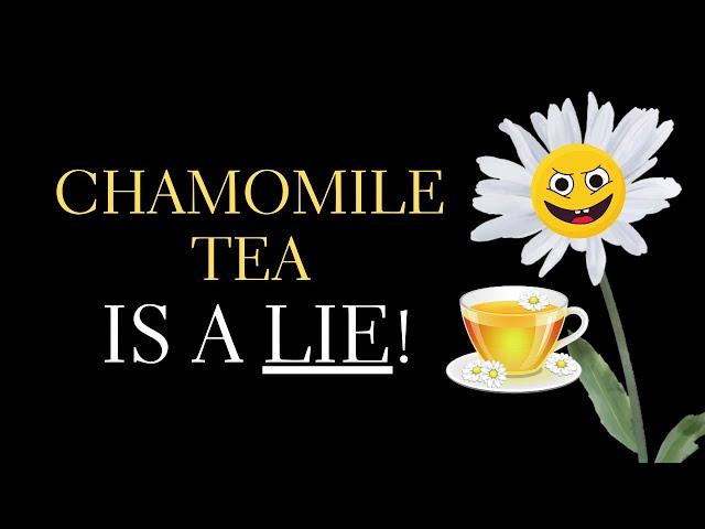 Why Chamomile is Not a Real Tea - All about Chamomile Tea and Chamomile Tea Benefits