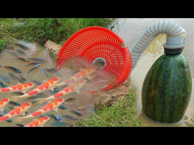 Build Fish Trapping System Make From Watermelon & Flexible Pipe