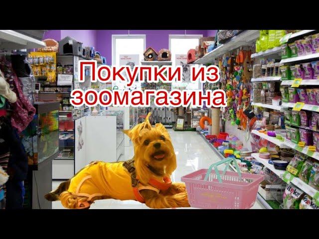 Покупки из зоомагазина