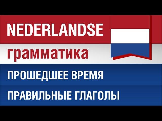 Прошедшие времена в голландском языке. Перфект и Имперфект. Правильные глаголы. Елена Шипилова.