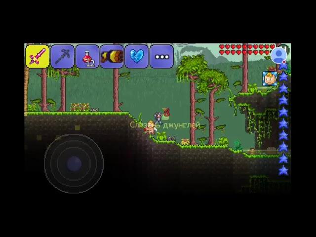 Стрим игры "Terraria".