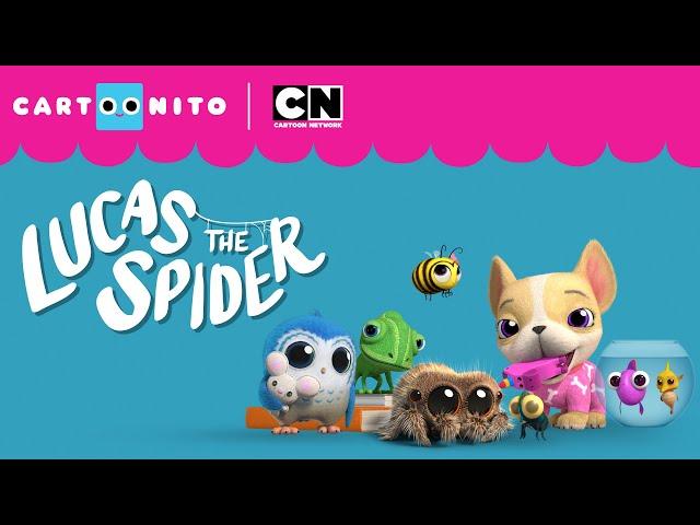 Lucas the Spider – Opening Song