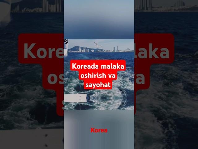 2019-20yil PNUYH da 1yil malaka oshirishdan esdalik #travel #trip #mountain #motivation #sea #ocean