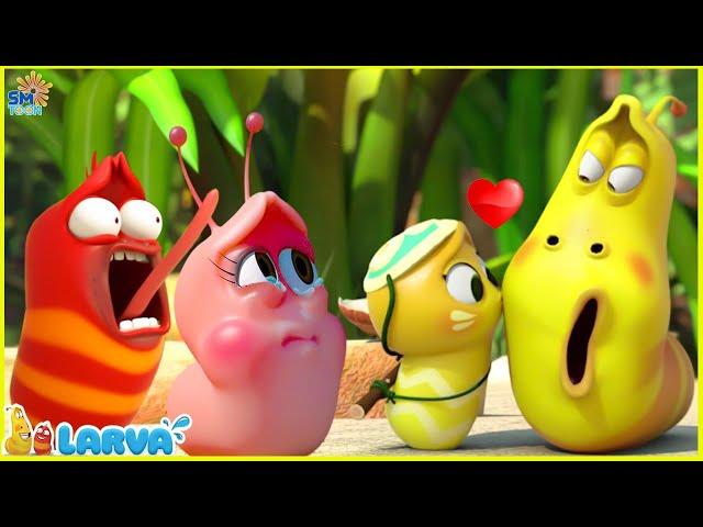 LARVA SEASON 3 EPISODE 05 ~ 126 / LARVA NEW VERSION 2025 - LARVA CARTOON MOVIES | FUNNY CLIP 2025