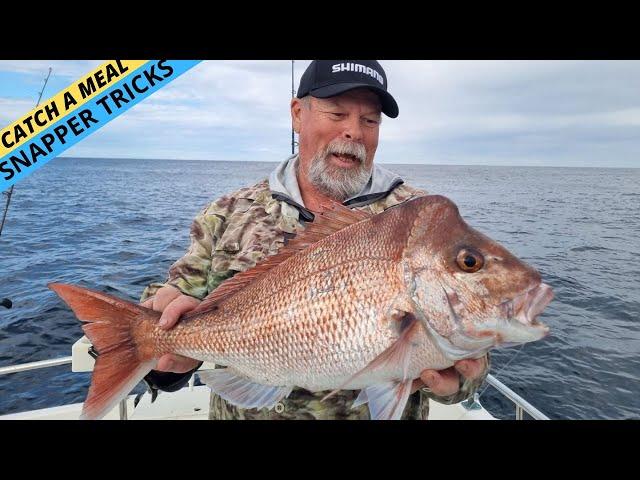 LEARN These Simple Snapper Catching Tricks! (Easily Double Your Catches!)