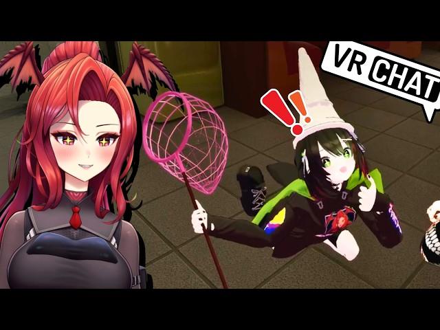 Green Gnome Wizard Invades VR - VRChat Funny Moments