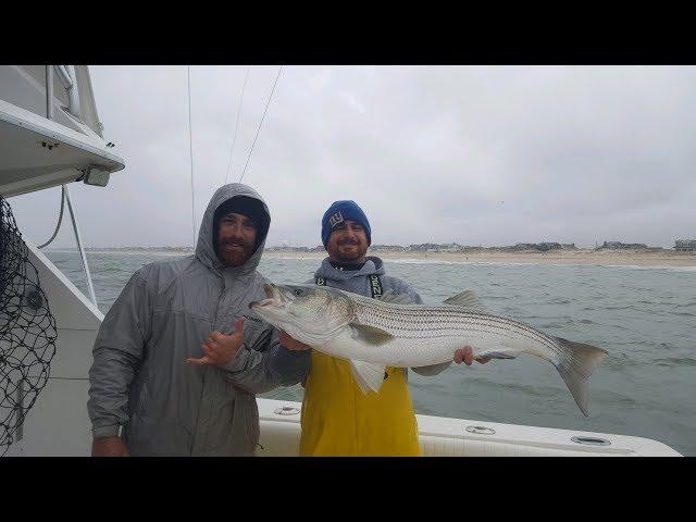 How to Catch Large Striped Bass Using Mojo Lures, Part 2.