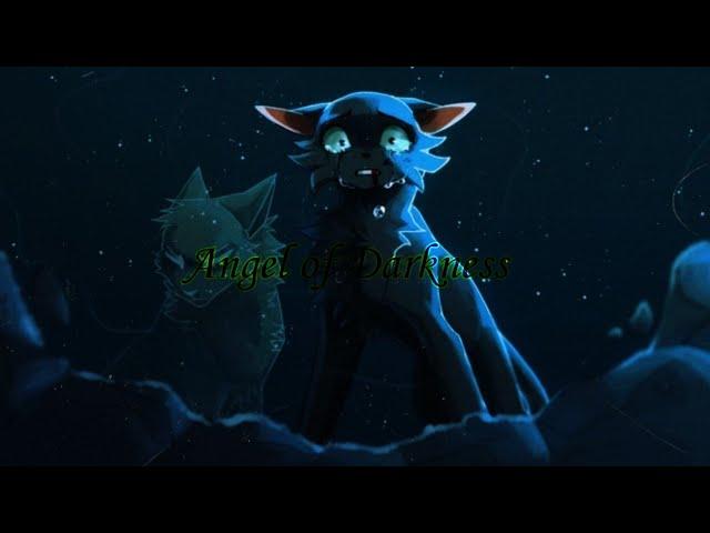 Клип Коты Воители "Angel of Darkness|Ангел Тьмы" Остролистая|CW Hollyleaf|√Black Cat𓃠√