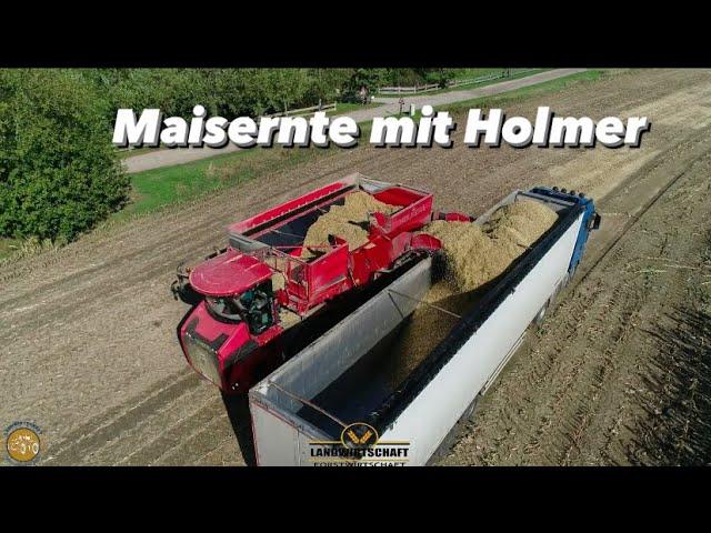 Maisernte mit Holmer! LU Marten & Teune Mit Selbstfahrer im Lohnauftrag Mais Häckseln & Verladen