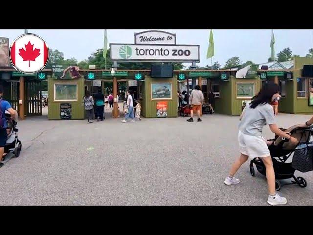 Toronto Zoo Tour Walkthrough All Animals (Full Video)