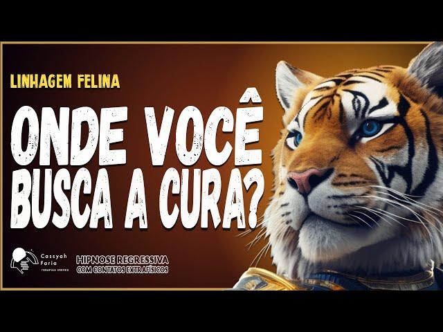 Contato FELINO - HIPNOSE REGRESSIVA - A busca da CURA a qualquer CUSTO #608 #cassyahfaria