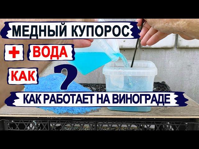  Если заменить БОРДОСКУЮ ЖИДКОСТЬ на ЧИСТЫЙ МЕДНЫЙ КУПОРОС. Как ЭТО работает на милдью винограда.