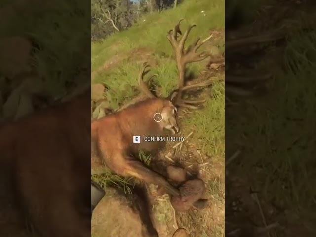 Gold Red Deer Water Feeding Kill  #thehuntercotw  #gaming #virtualhunting #thehuntercallofthewild