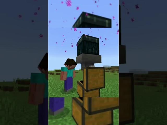 Dont use ender chest or this will happen