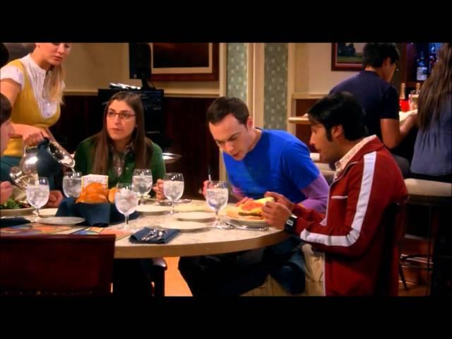 Sheldon in the zone + a racoon virus?? (TBBT : The Romance Resonance)
