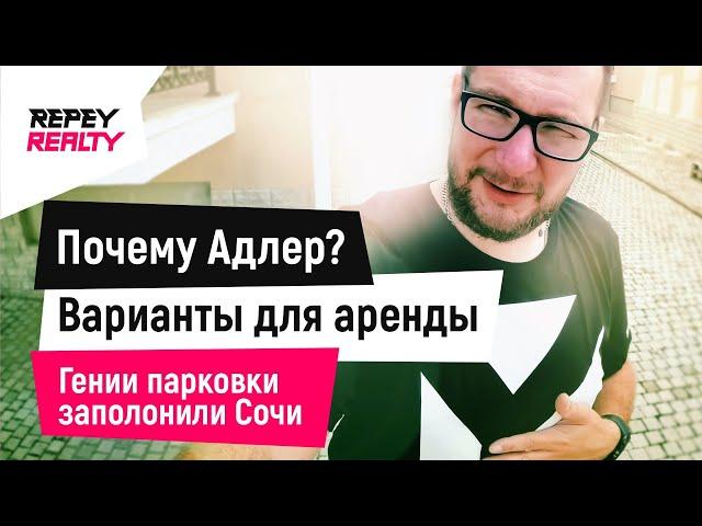 ПОЧЕМУ АДЛЕР ИНТЕРЕСНЕЕ? Варианты квартир для сдачи в Сочи / REPEY