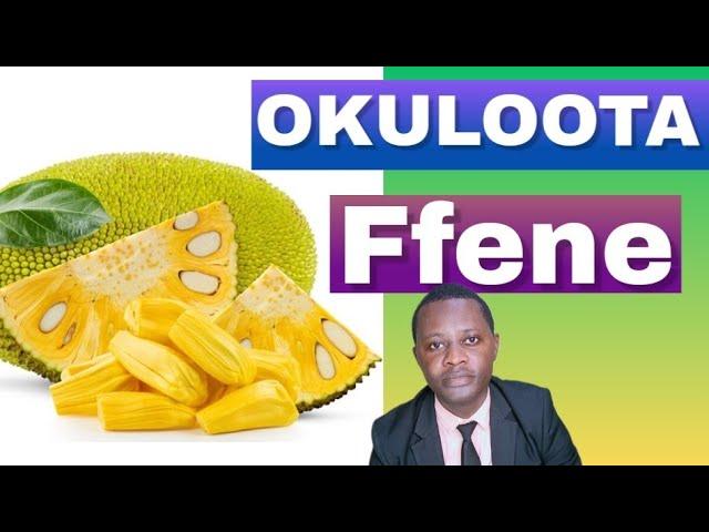 OKULOOTA NGA OLYA FFENE kitegezaki By Brother Steven