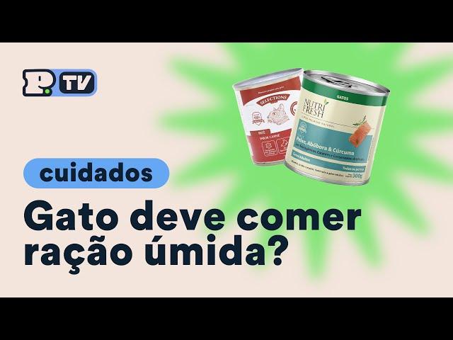 Quais os benefícios da ração úmida para gatos? | Petz TV Cuidados