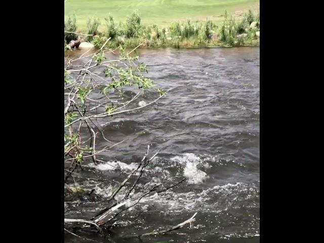 Estes park Colorado Big Thompson river