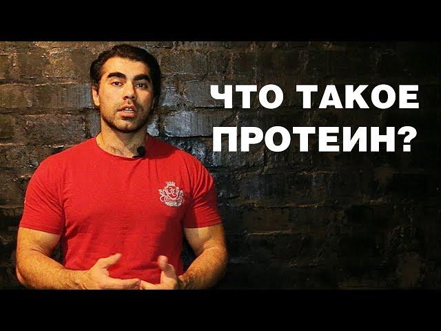 Что такое протеин. Для чего нужен протеин. Советы начинающим