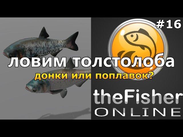 ЛОВИМ ТОЛСТОЛОБИКА! ДОНКА ИЛИ ПОПЛАВОК? theFisher Online[Стрим Обзор]