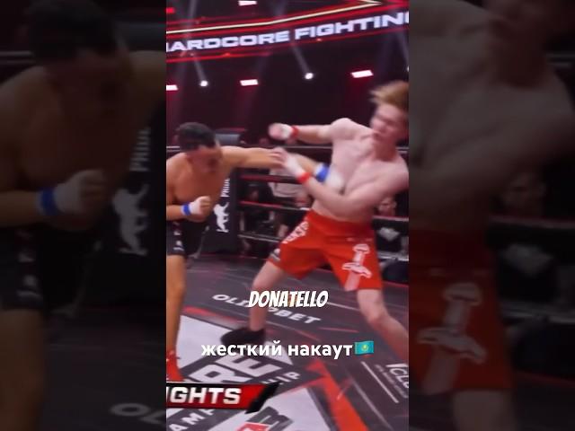донателло - боец на кухне жестокий нокаут