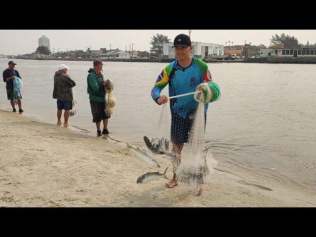 Pesca de tarrafas, 10-09-24, tarde, Barra de Tramandaí, RS. #pescadetarrafa #pescadetainha #mullets