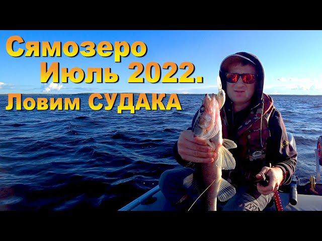 В КАРЕЛИИ с палатками//Рыбалка на СЯМОЗЕРЕ 2022//Судак с каждого заброса//#teamправильнаяподсечка