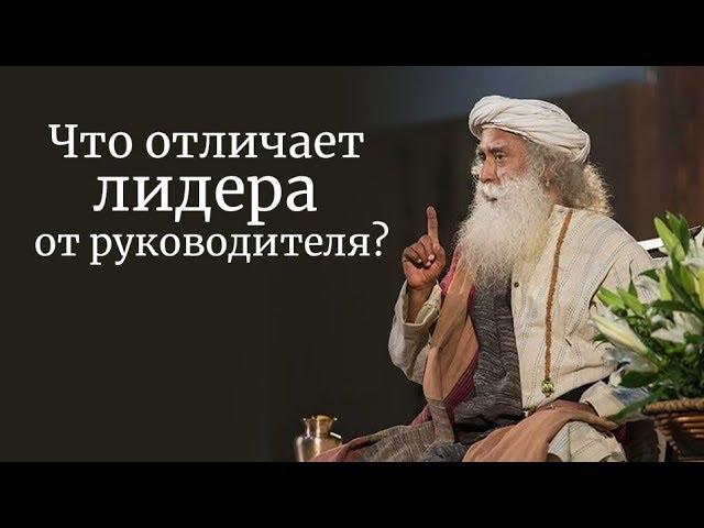 Что отличает лидера от руководителя?