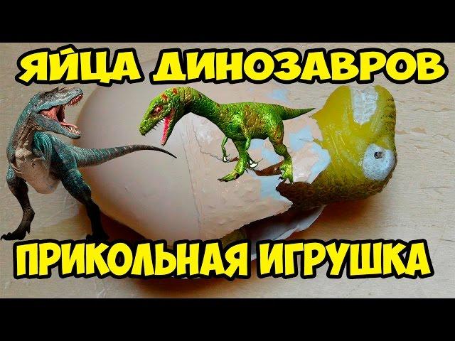 Яйца динозавров. Вылупляются и растут. Прикольная игрушка.