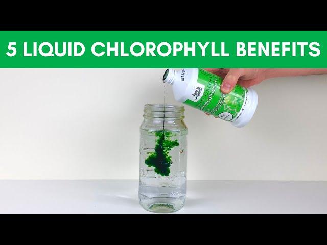 5 Chlorophyll Benefits for Health + Top Liquid Chlorophylls