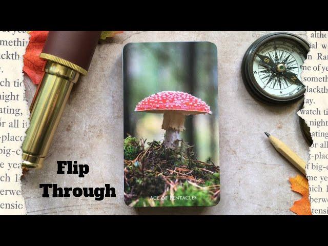 The Naturescapes Tarot - Présentation Flip Through #review #flipthrough #tarot