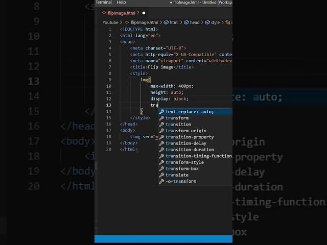 How to flip image with CSS #shorts #programming