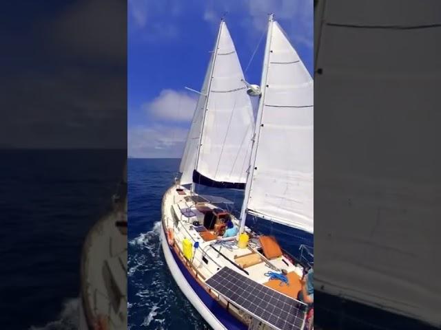 Love having all four sails up!