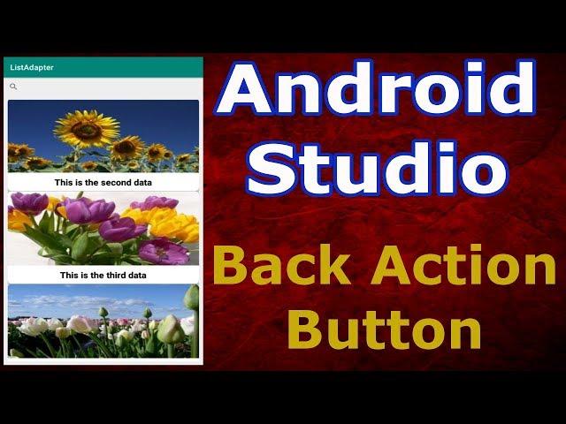 Android Studio Adding Back Action Button In Activity