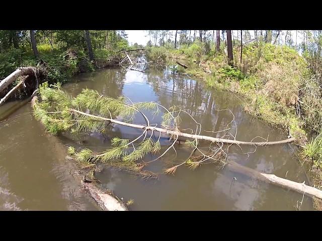 Rainbow Lake - Schlott Extrem Fishing peg 6