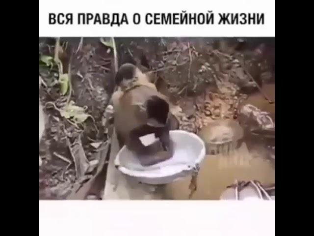 Вся правда о семейной жизни!!!!