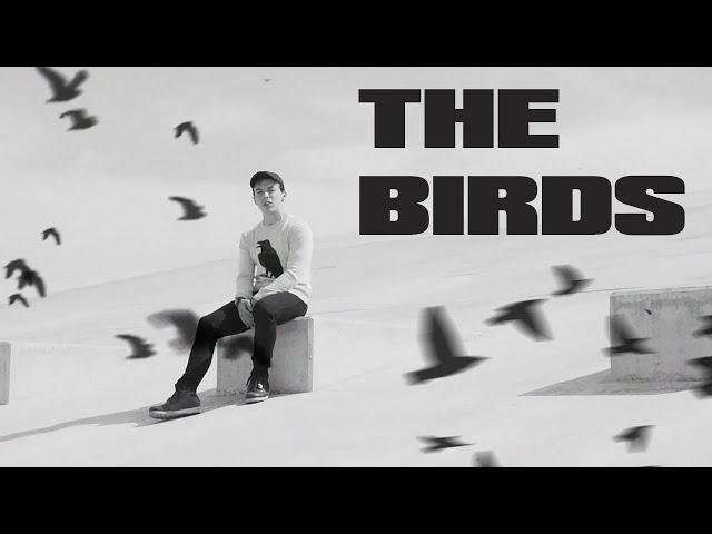 Connor Price - The Birds (Official Music Video)