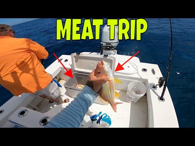 We put the Meat in the box*** Atlantic ocean fishing with light tackle